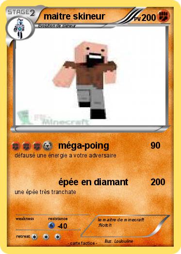 Pokemon maitre skineur