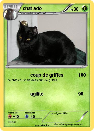 Pokemon chat ado