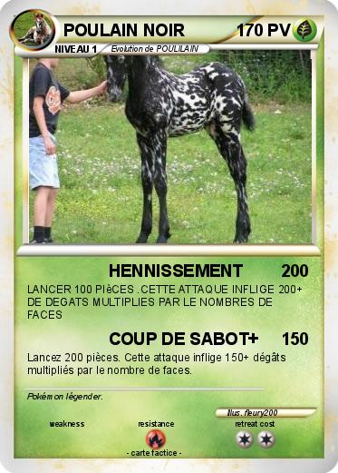 Pokemon POULAIN NOIR
