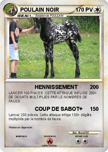 Pokemon POULAIN NOIR