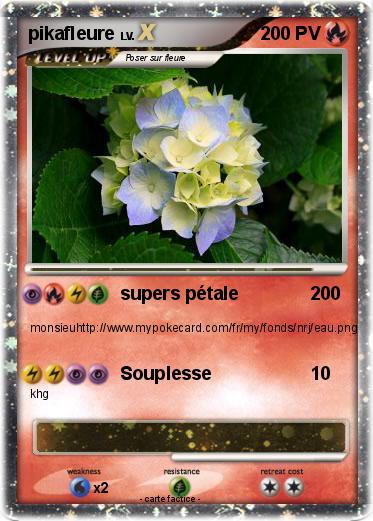 Pokemon pikafleure