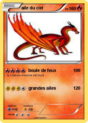 Pokemon aile du ciel