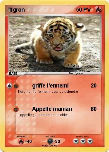 Pokemon Tigron
