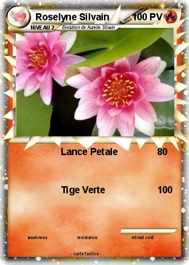 Pokemon Roselyne Silvain