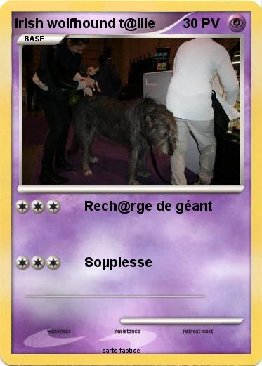 Pokemon irish wolfhound t@ille