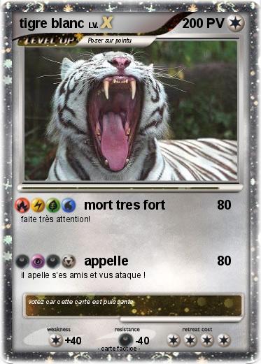 Pokemon tigre blanc