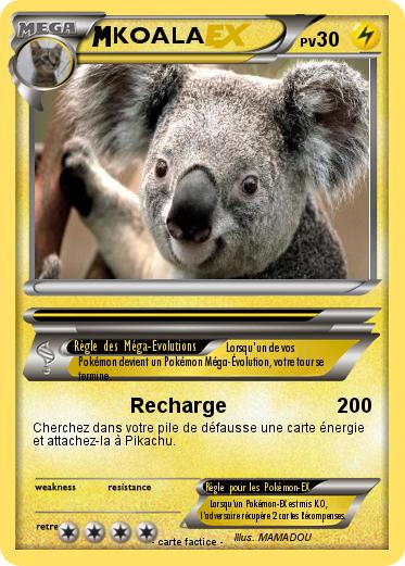 Pokemon KOALA