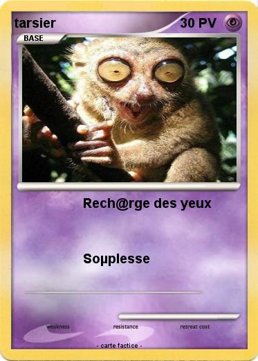 Pokemon tarsier
