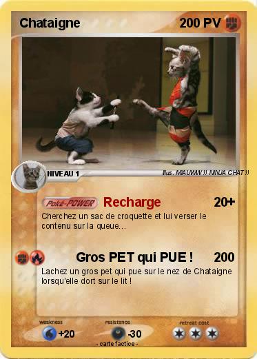 Pokemon Chataigne