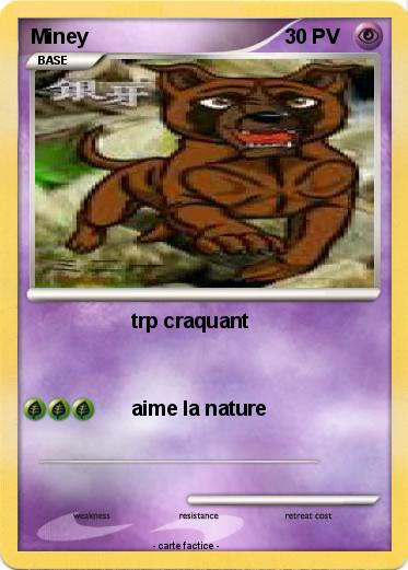 Pokemon Miney