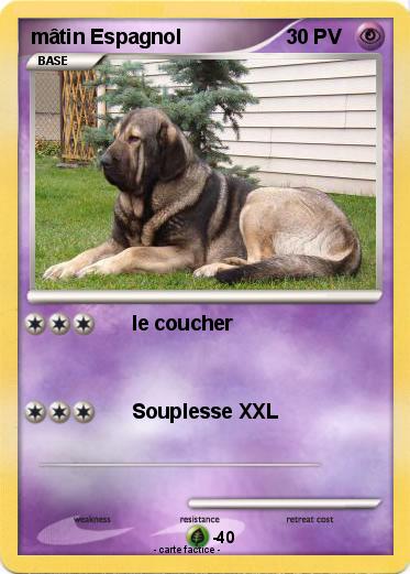 Pokemon mâtin Espagnol