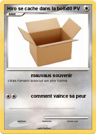 Pokemon Hiro se cache dans la boite