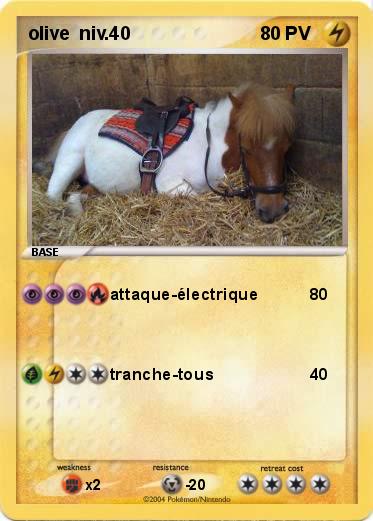 Pokemon olive  niv.40