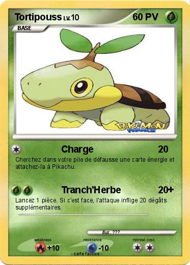 Pokemon Tortipouss
