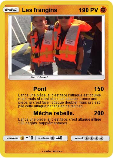 Pokemon Les frangins