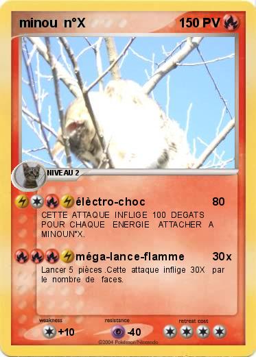 Pokemon minou  n°X