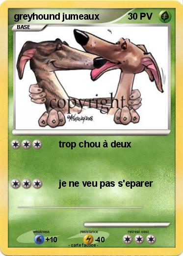 Pokemon greyhound jumeaux