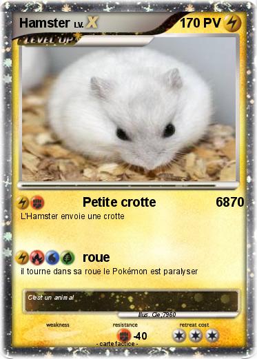 Pokemon Hamster