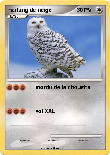 Pokemon harfang de neige