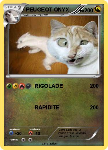 Pokemon PEUGEOT ONYX