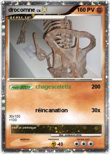 Pokemon drocornne