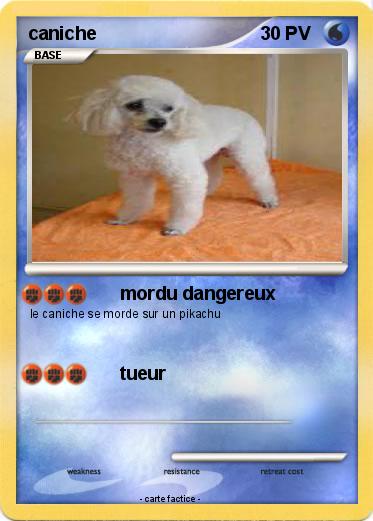 Pokemon caniche