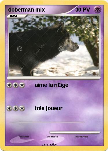 Pokemon doberman mix