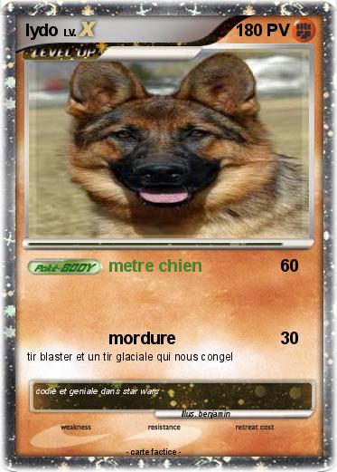 Pokemon lydo
