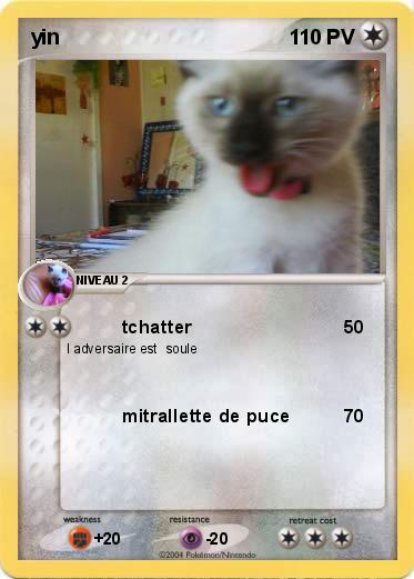 Pokemon yin