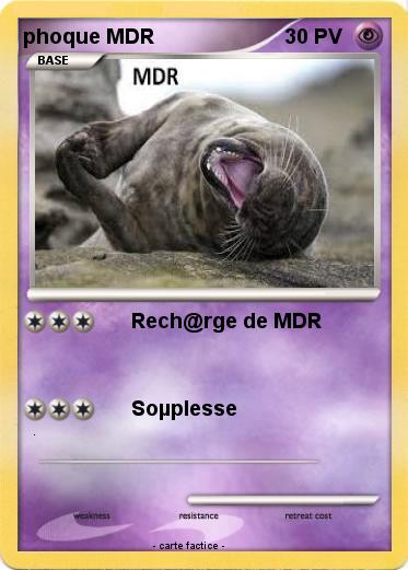 Pokemon phoque MDR