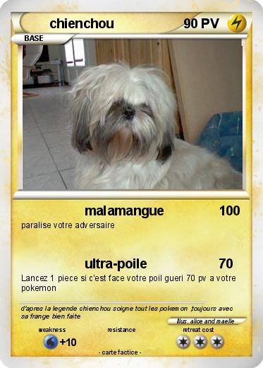 Pokemon chienchou