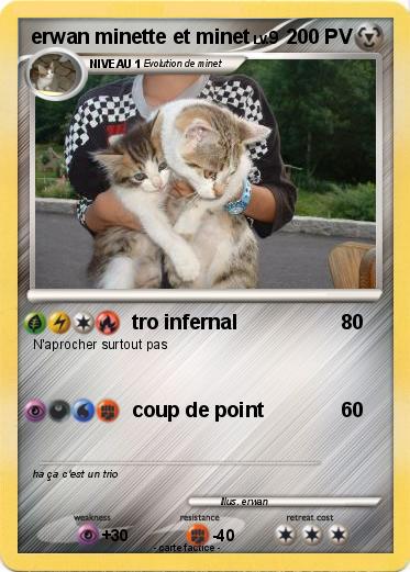 Pokemon erwan minette et minet