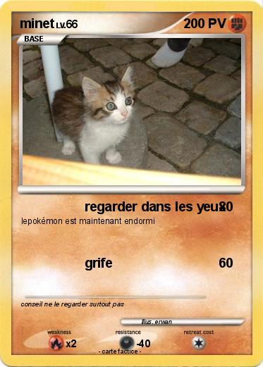 Pokemon minet