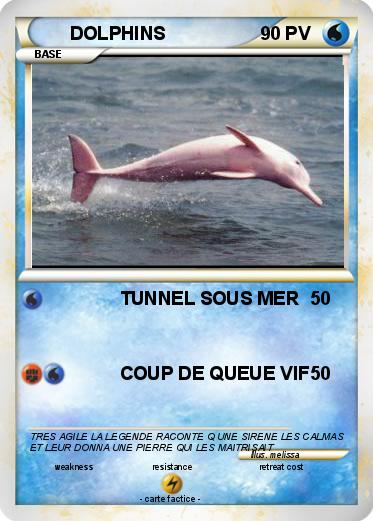 Pokemon DOLPHINS
