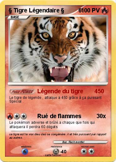 Pokemon § Tigre Légendaire §         6