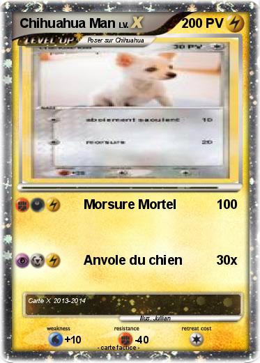 Pokemon Chihuahua Man