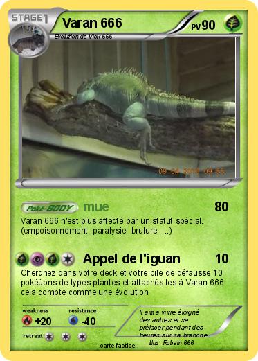 Pokemon Varan 666