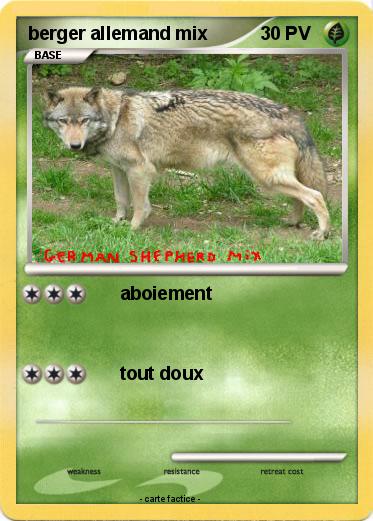 Pokemon berger allemand mix