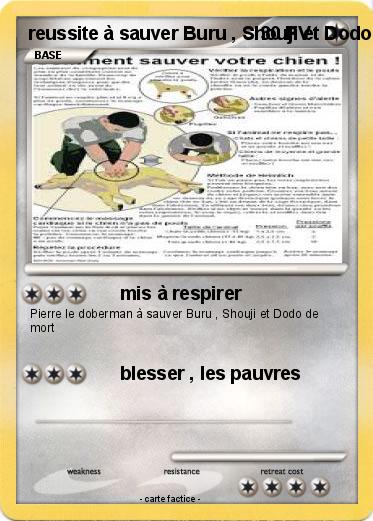 Pokemon reussite à sauver Buru , Shouji et Dodo