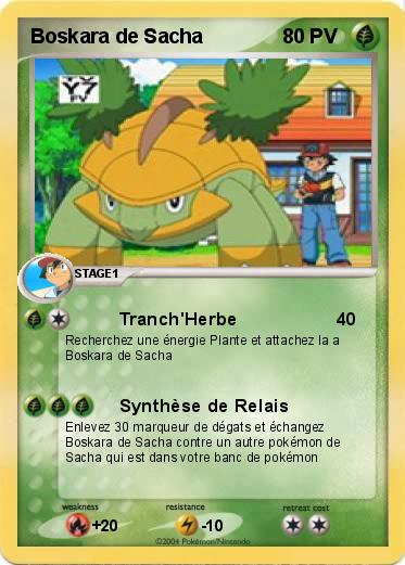Pokemon Boskara de Sacha