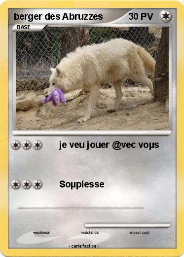 Pokemon berger des Abruzzes