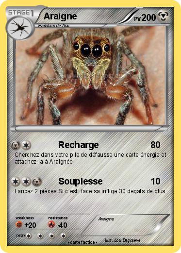 Pokemon Araigne