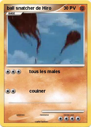 Pokemon ball snatcher de Hiro