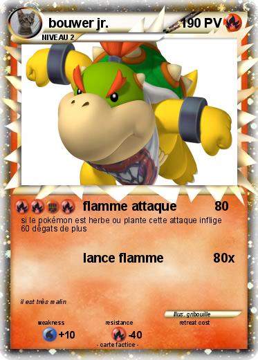 Pokemon bouwer jr.                                                              250