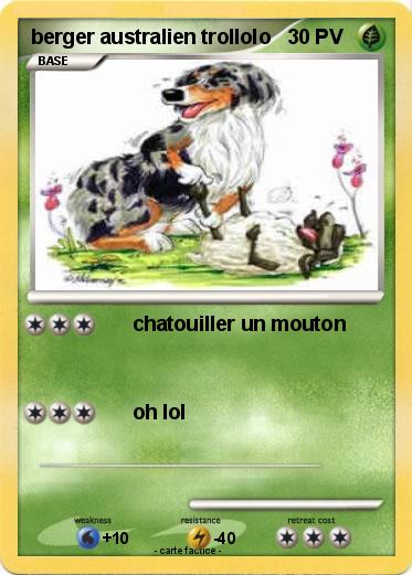 Pokemon berger australien trollolo