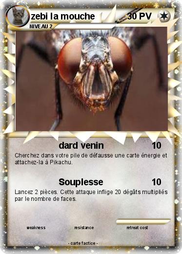 Pokemon zebi la mouche
