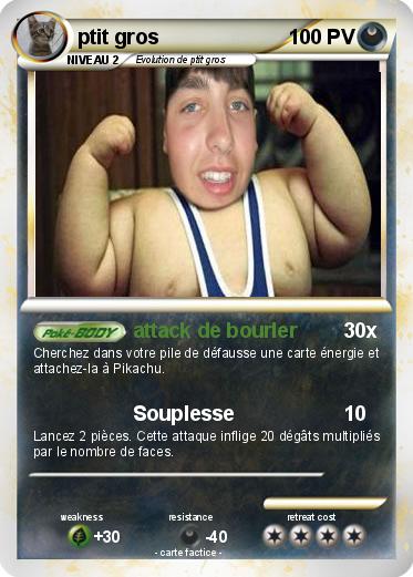Pokemon ptit gros