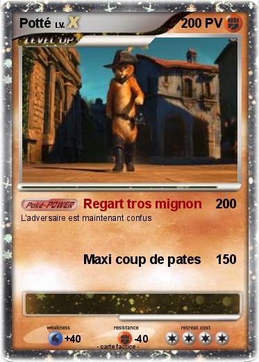 Pokemon Potté