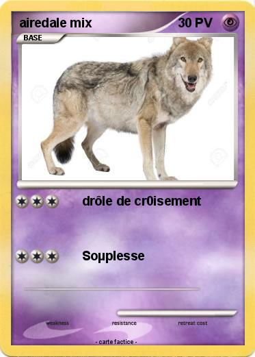 Pokemon airedale mix