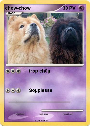 Pokemon chow-chow